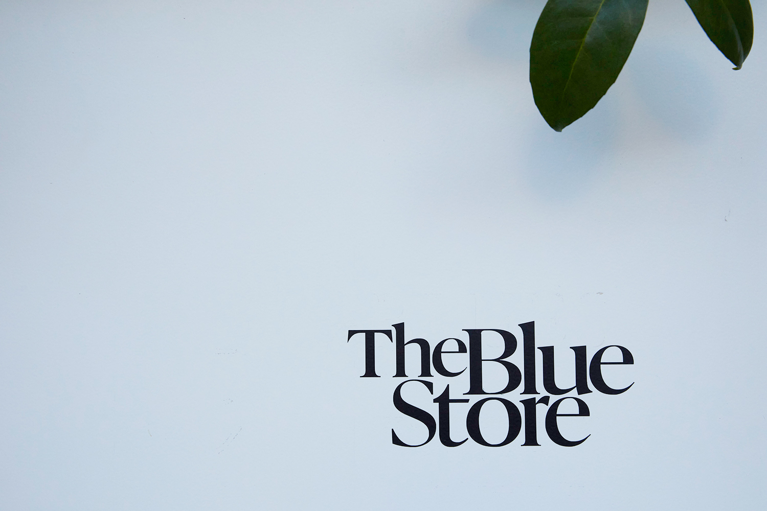 THE BLUE STORE